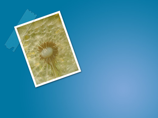 394711 (a): :1600x1200